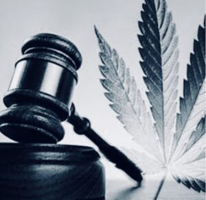 Lire la suite à propos de l’article Cannabis : les Radicaux exigent sa légalisation
