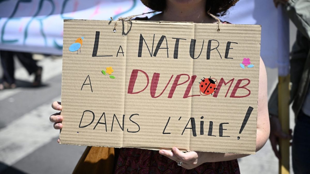 You are currently viewing Le Conseil Constitutionnel censure partiellement la loi Duplomb